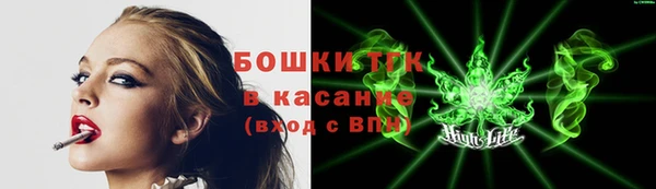 скорость Гусев