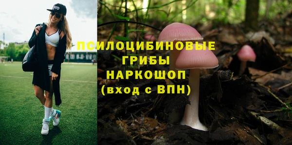 скорость Гусев
